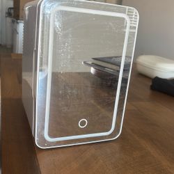LED Lighted Mini Fridge