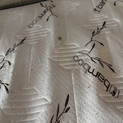 Queen Bed/frame/box Spring