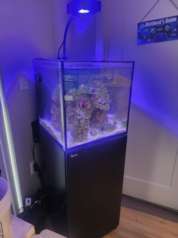 Red Sea Salt Water Tank