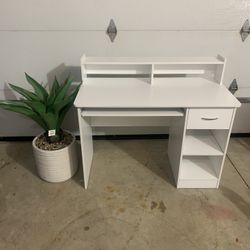 Desk and Plant 