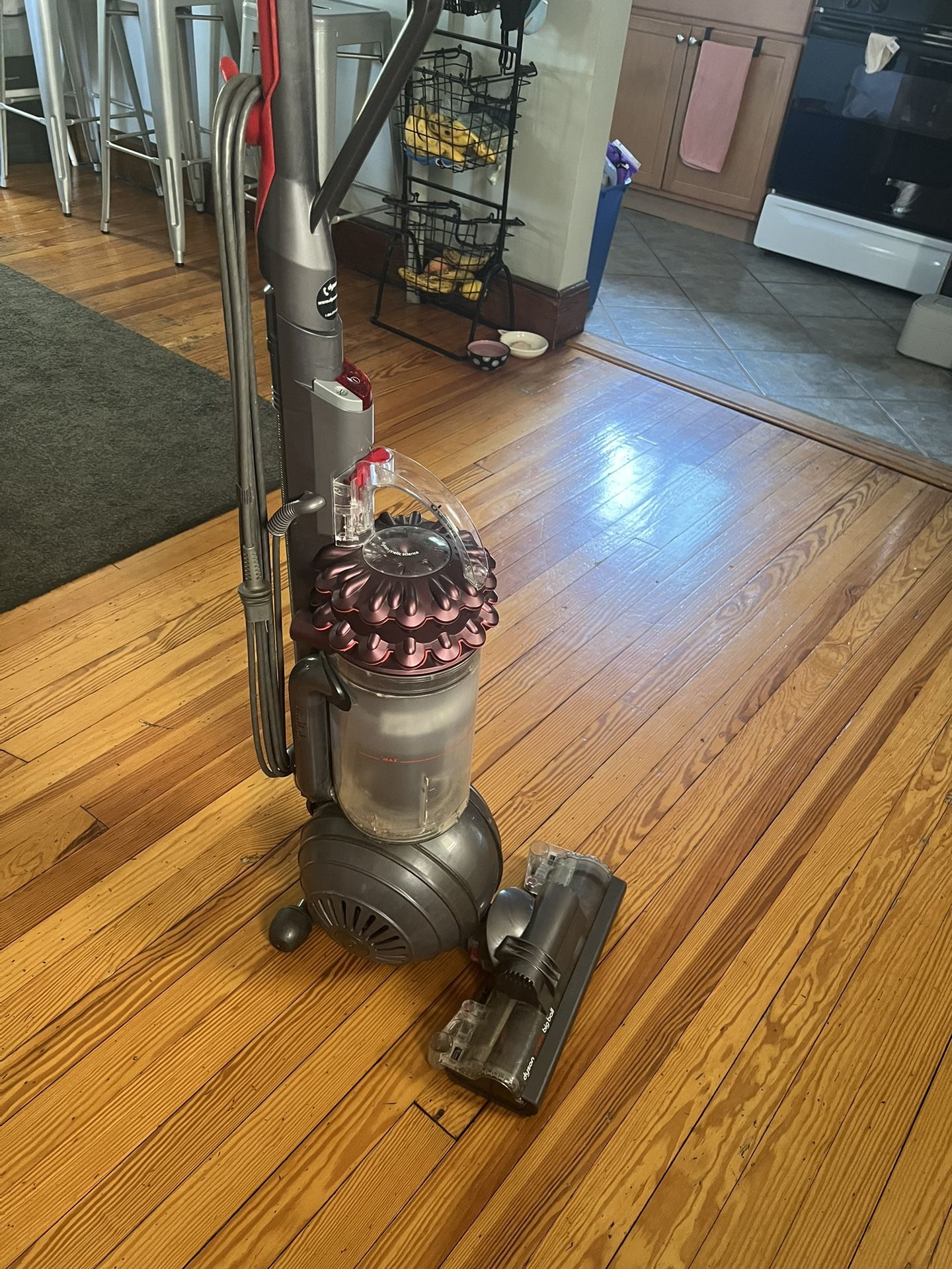 Dyson Big Ball Animal Vacuum w/Accessories