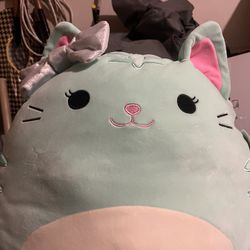 Blue Cat Squishmallow