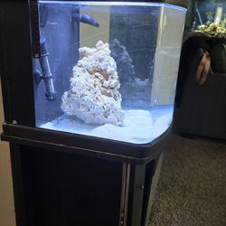 15 Gal Cube Tank Including Everything.