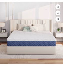 Must go now! Name your price! Negotiable! Brand new bed never used!! Need to get rid of ASAP!