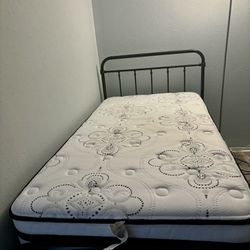 Twin Bed (mattress & box spring included)