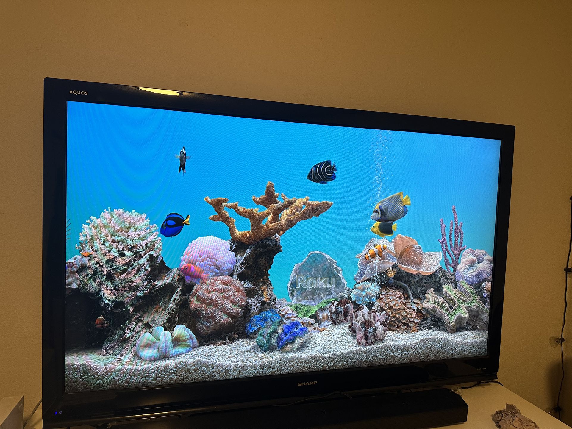 60” Sharp Aquos TV AND Roku Connection