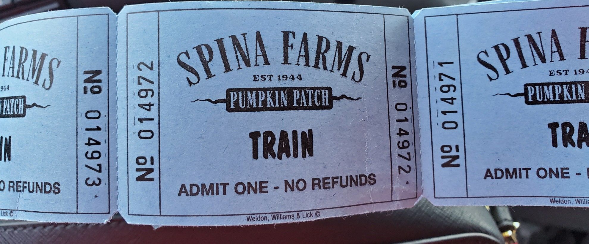 SPINA FARMS Pumpkin 🎃 patch