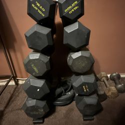 Dumbbells & Bench Together 