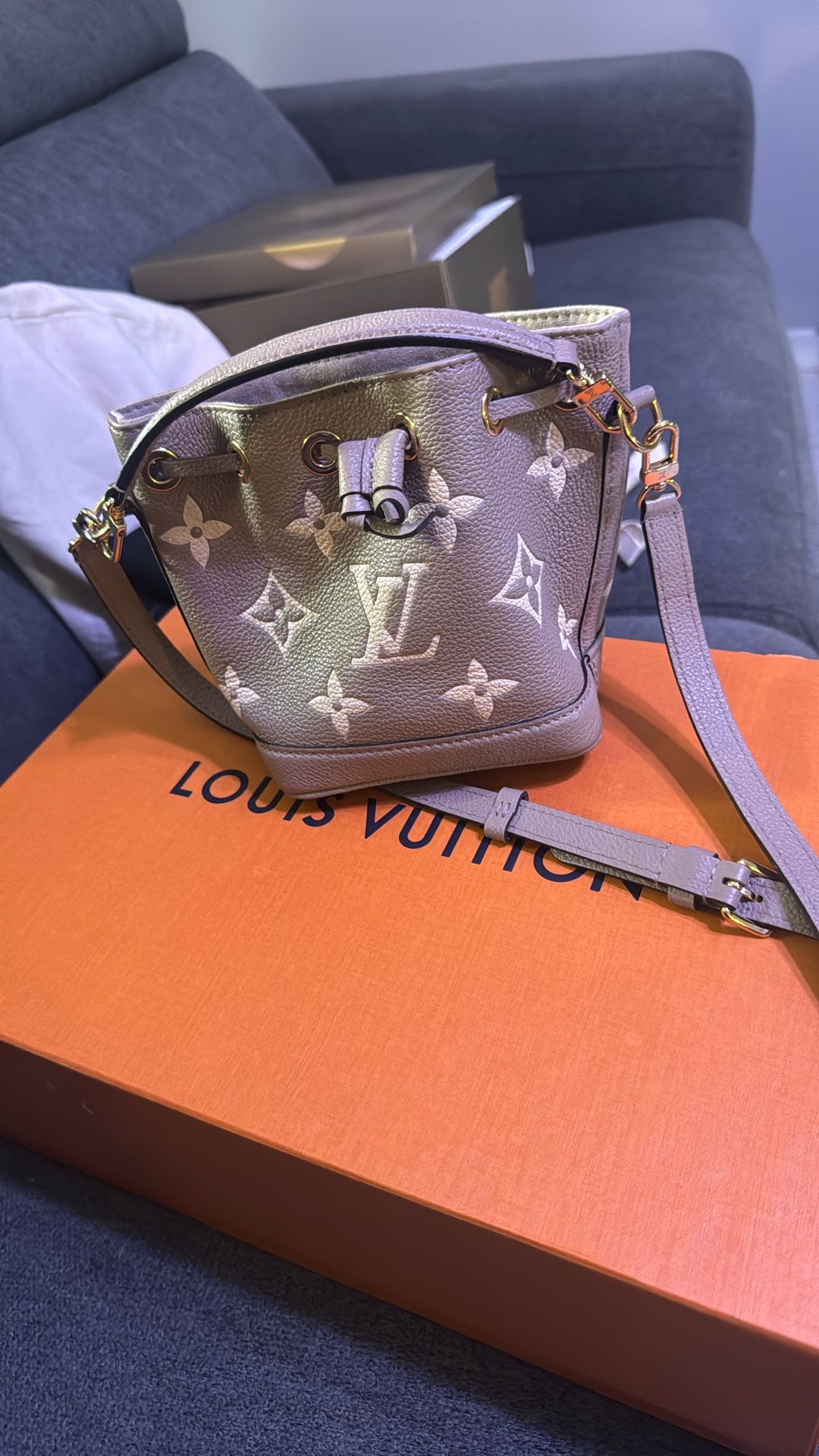 Louis Vuitton Bag