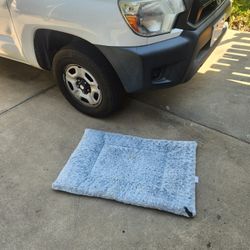 Very clean medium size dog bed
