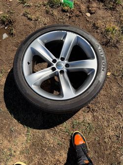 Dodge  rims
