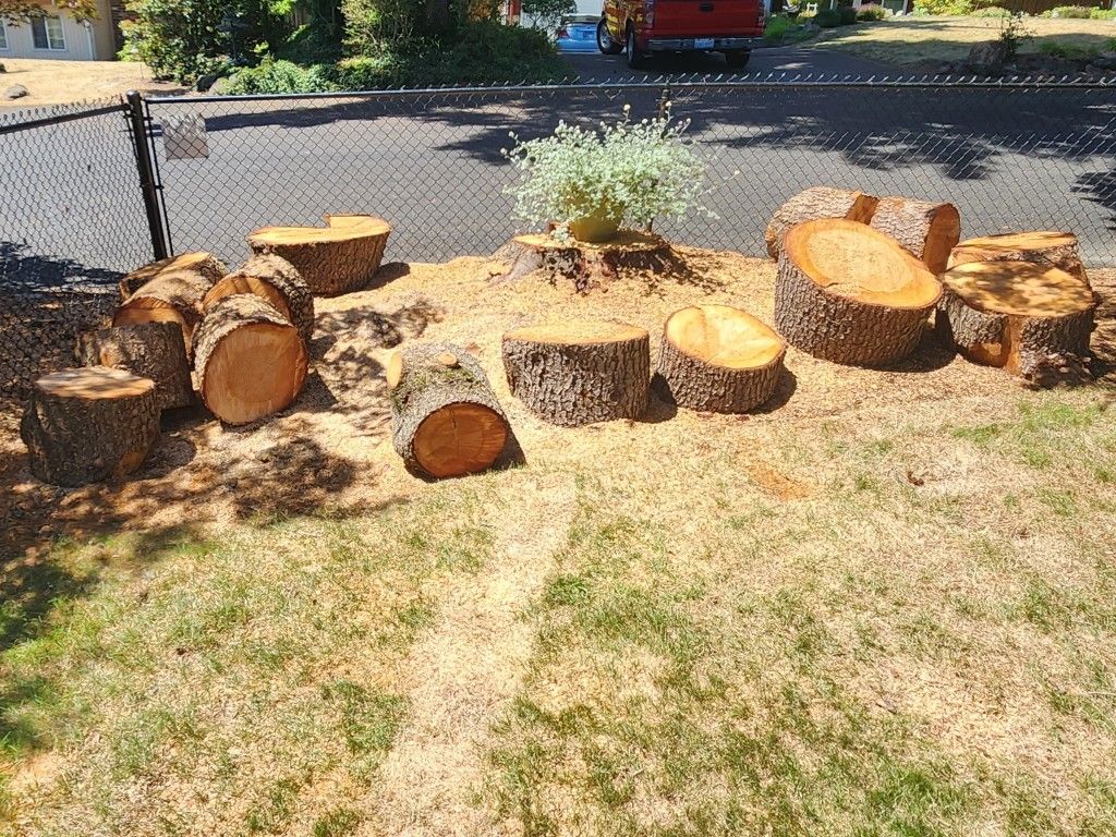 FREE Dry Fir Wood/Fire Wood! FREE