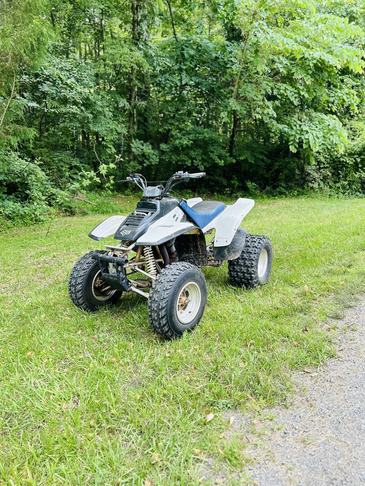 Warrior 350 6 Speed
