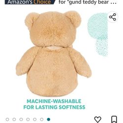 Gund Babys 1st Teddy Bear
