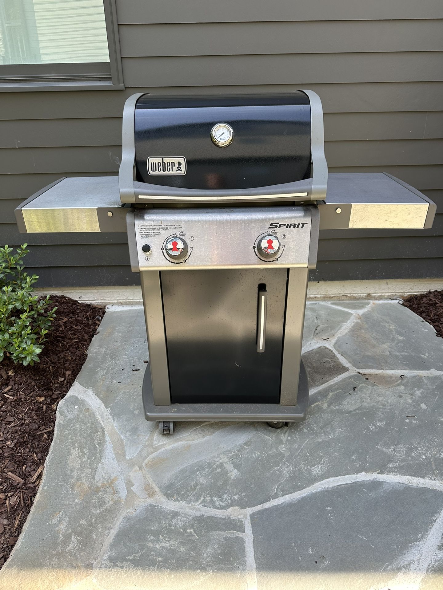 Weber Gas Grille