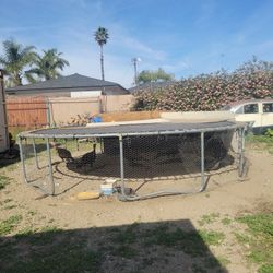 Trampoline Turkey Male