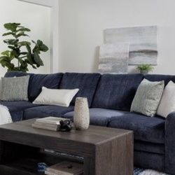 Living Spaces Couch