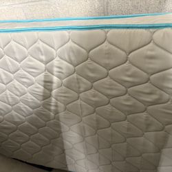 Twin Mattress (delivery Available)