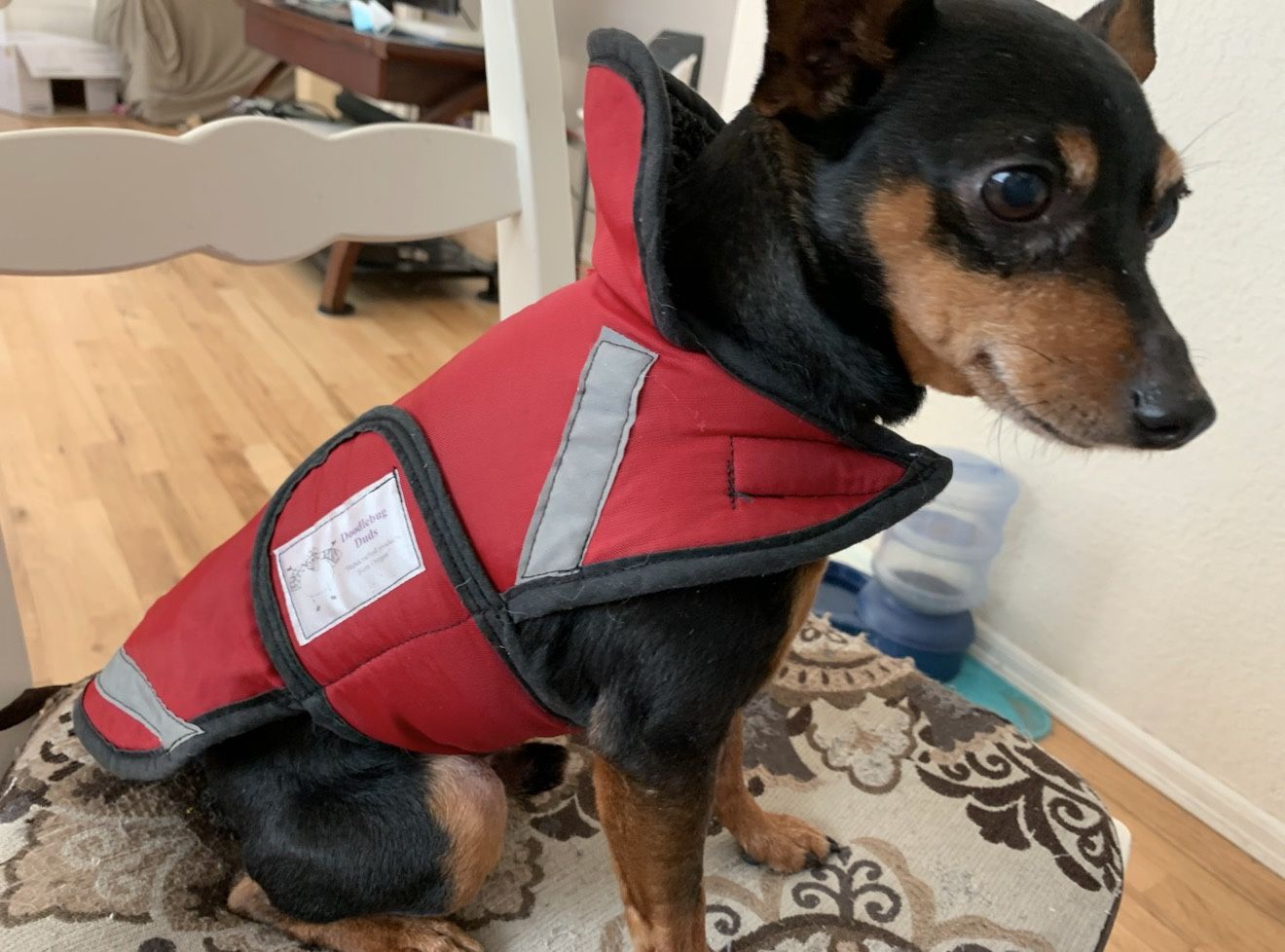 Doggie Rain Coat For Small Breed  5-7 Lbs Weight