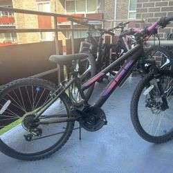 North point Kent Bicycle