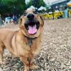 Maggie