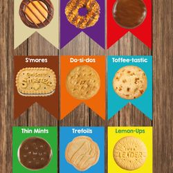 Girl Scout Cookies 
