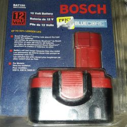 Bosch 12 Volt battery 