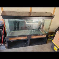 120 Gallon Fish Tank