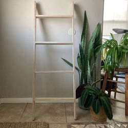 Wood Ladder