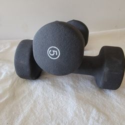 SET OF 2-5 LB HAND WEIGHTS IN GREAT CONDITION 