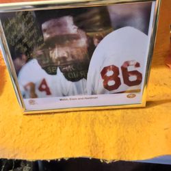 True collectible, 49ers, Cedric Hardman, signature and framed picture.