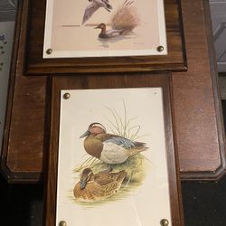 Two framed Wall Decor 