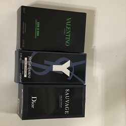 Ysl/dior/valentino