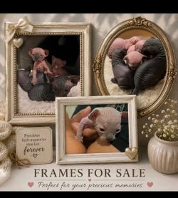 Frames