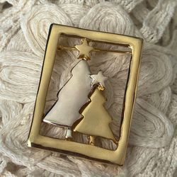 Beautiful Silver and Gold Tone Pin / Brooch.