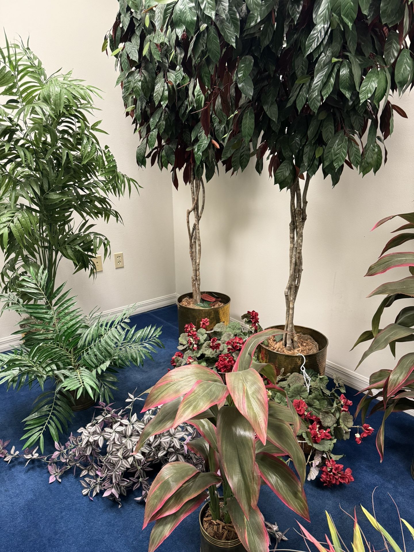 Artificial Plants &5-$95 /each
