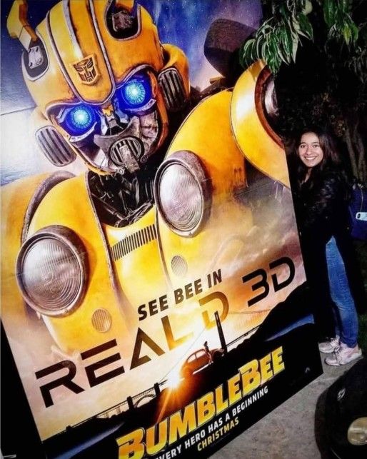 Original Bumblebee Display