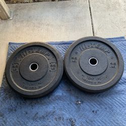 Bumper Weights Pair
