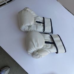 Everlast Like 4 Ounces Boxing Gloves