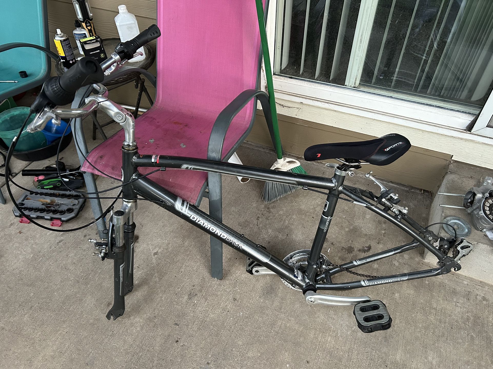 Diamondback wildwood frame