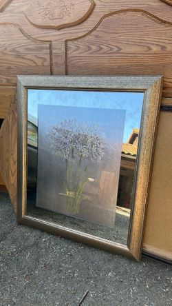 Wall art/mirror