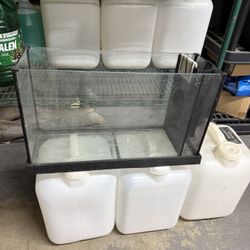 All In One Glass Fishtank