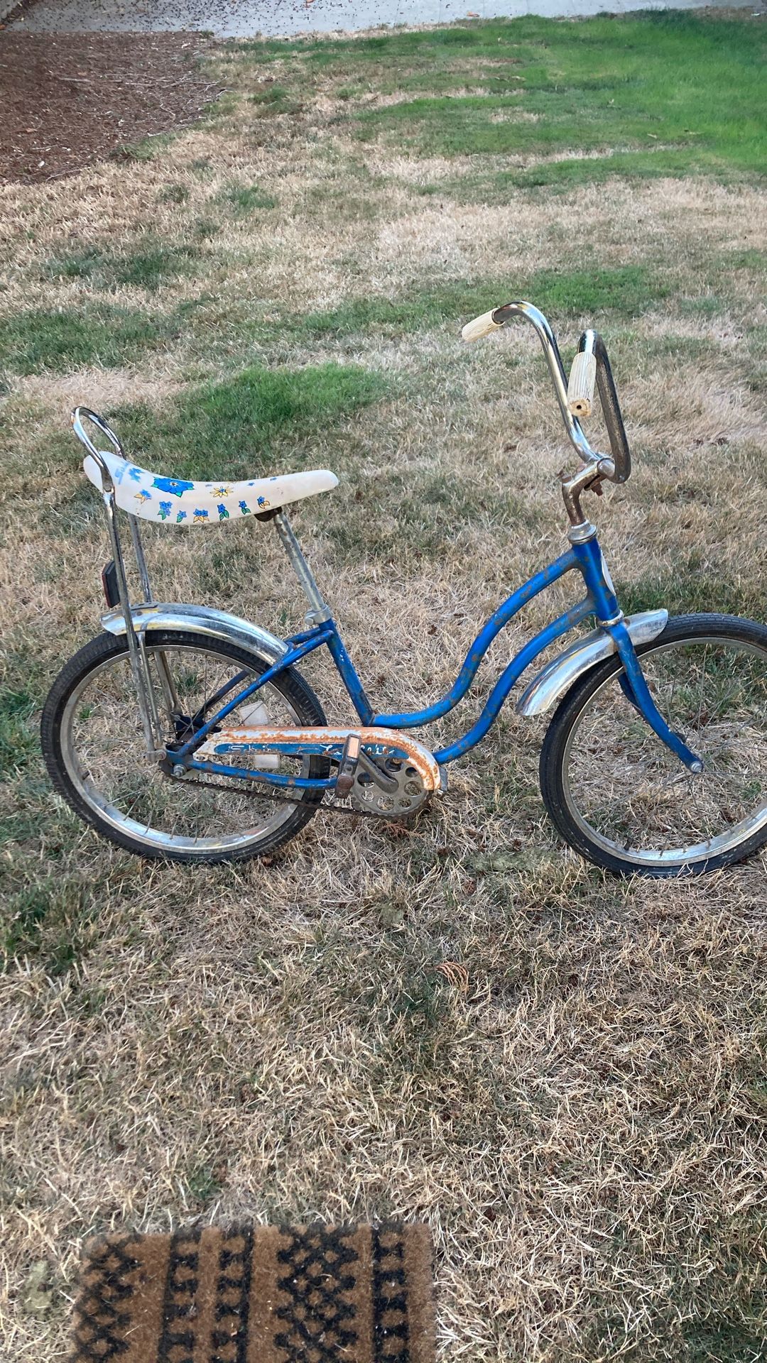 Schwinn Bike