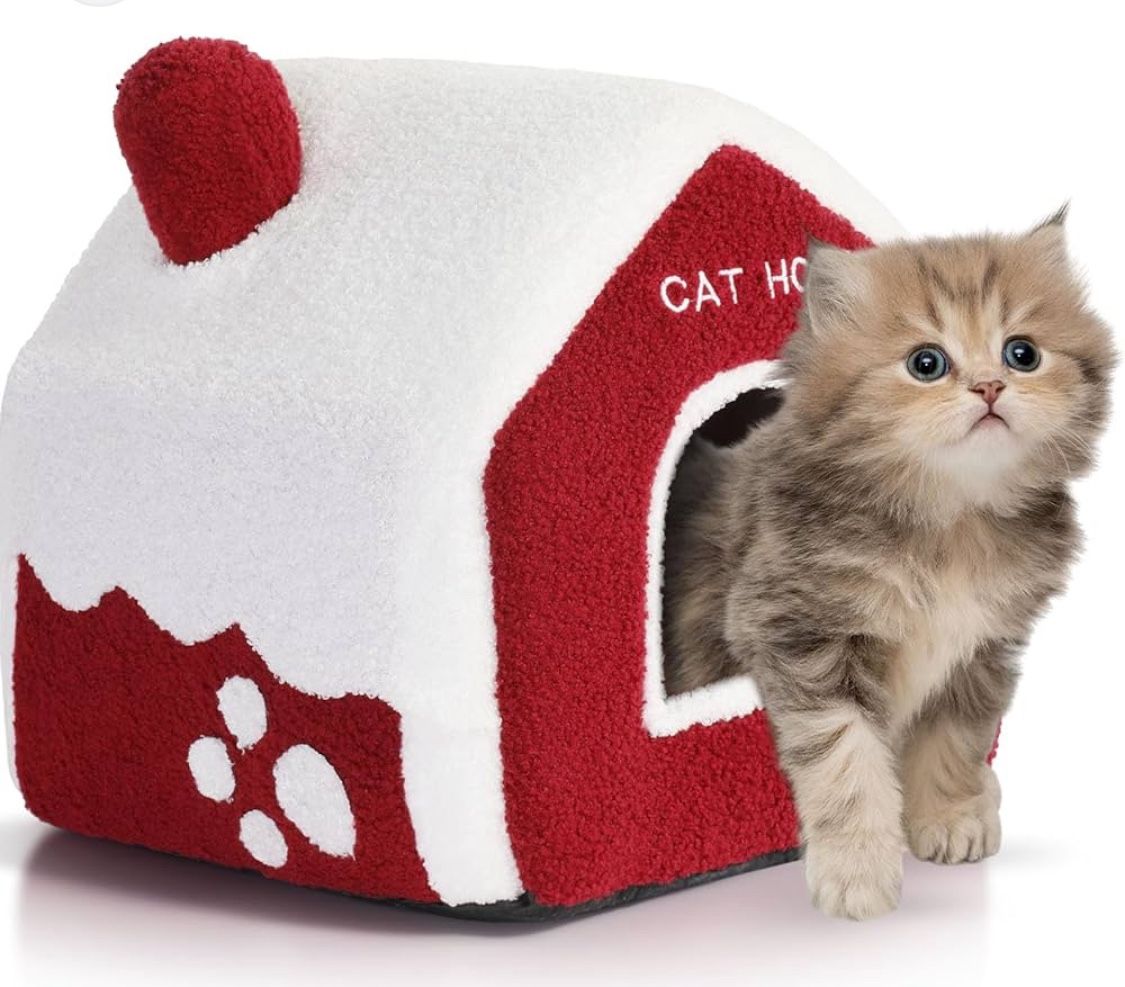 Cat House