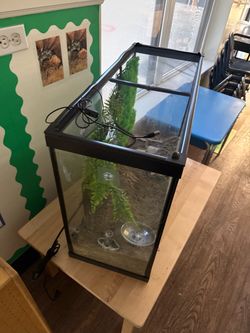 60 gallon tank