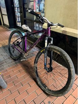 C100 collective Bike