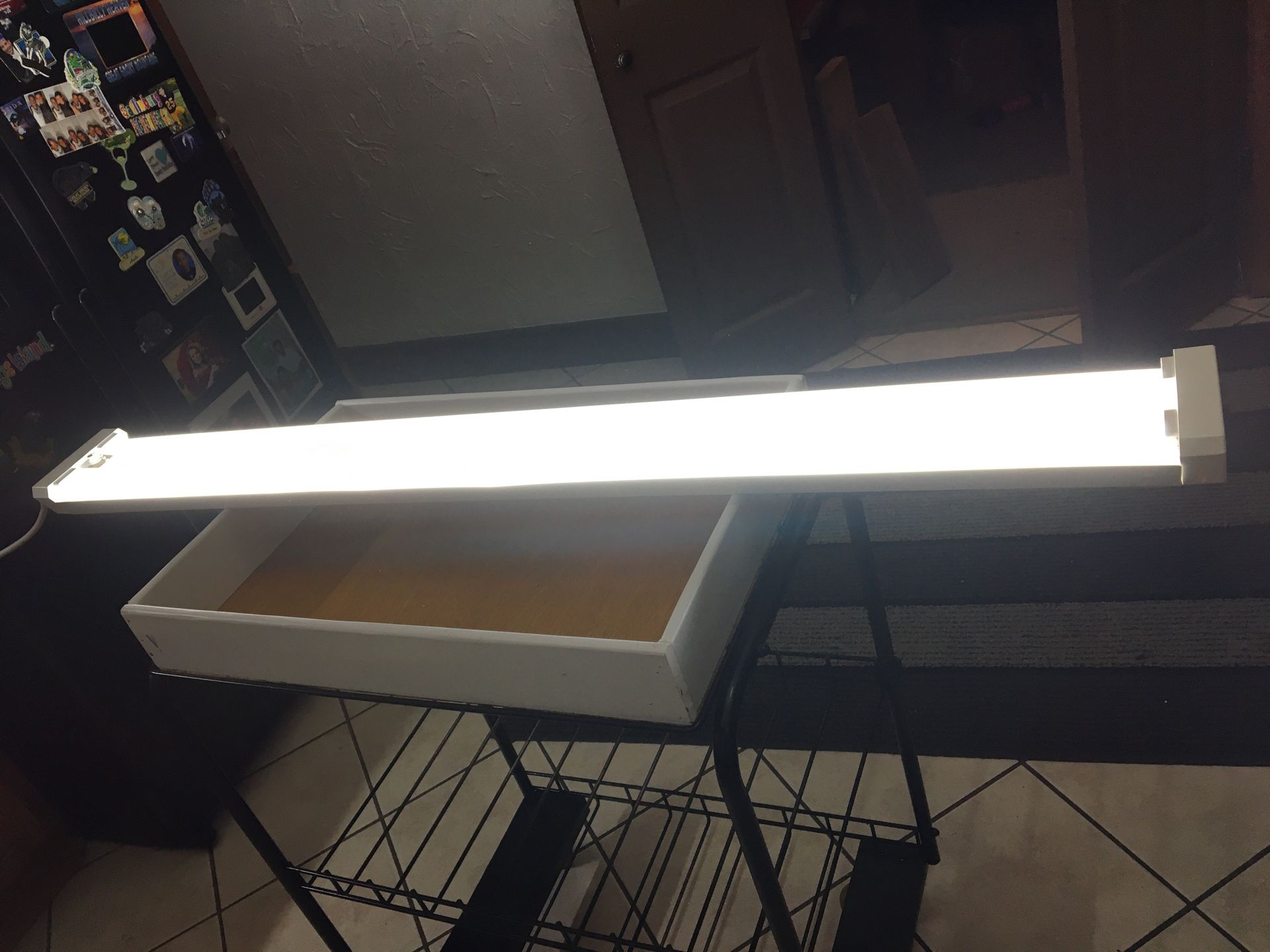 SHOP LIGHT very useful + pull chain -plug in