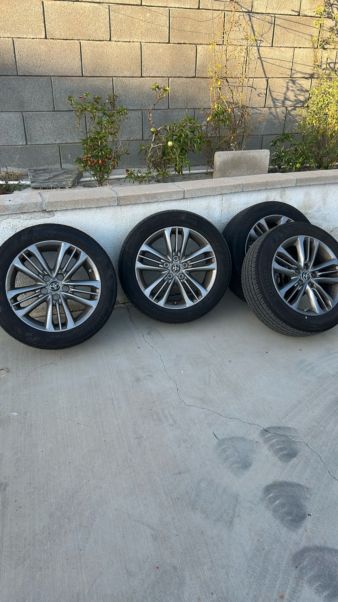 Camry Rims And Tires 