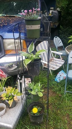 Plant And plant stand $20