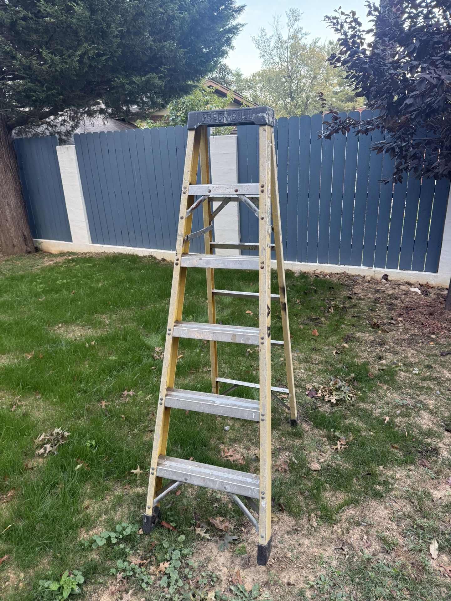 I'm selling a ladder